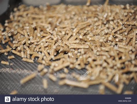 largest wood pellets in germany.